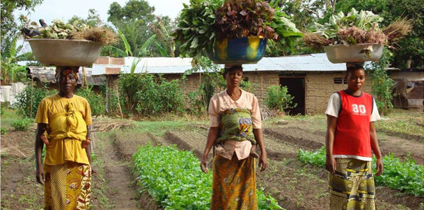 Femme rurale et développement durable: le nécessaire renforcement des capacités